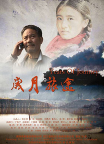 绿野仙踪林视频入口欢迎您